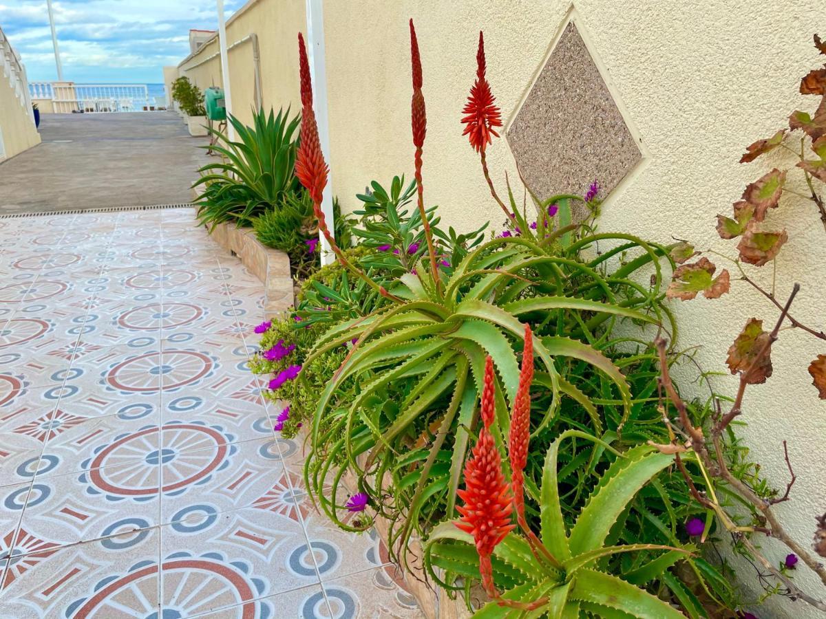 Royal Beach House Vista Mar La Mata  Exterior foto